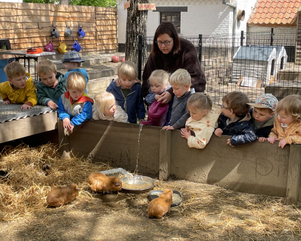 Schoolreis De Witte Hoeve