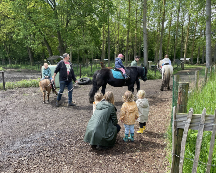 Schoolreis De Witte Hoeve