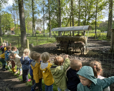 Schoolreis De Witte Hoeve