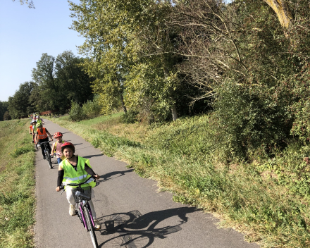 Verkeersweek