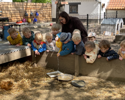 Schoolreis De Witte Hoeve