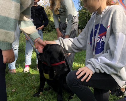 Werelddierendag