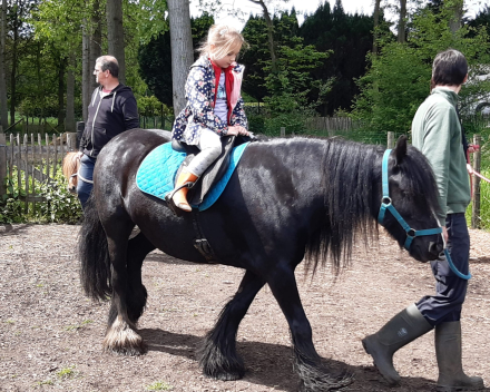 Schoolreis De Witte Hoeve