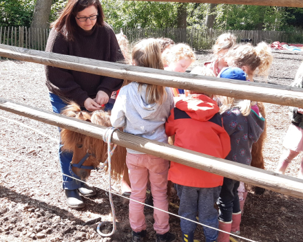 Schoolreis De Witte Hoeve