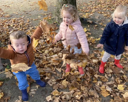 Jules in het kabouterbos