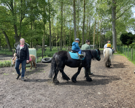 Schoolreis De Witte Hoeve