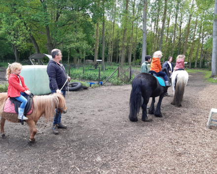 Schoolreis De Witte Hoeve