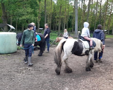 Schoolreis De Witte Hoeve