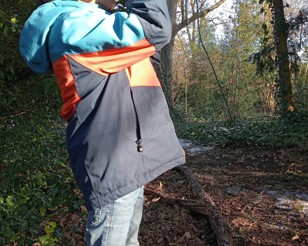 Vogels