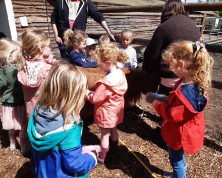 Schoolreis De Witte Hoeve