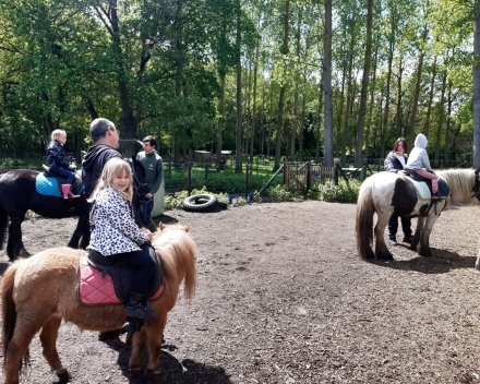 Schoolreis De Witte Hoeve