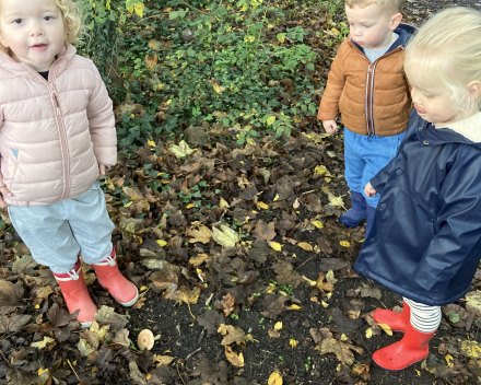 Jules in het kabouterbos