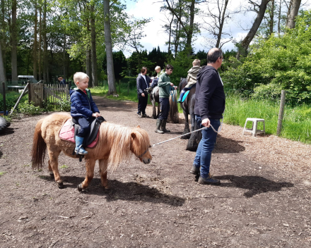 Schoolreis De Witte Hoeve