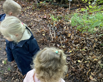 Jules in het kabouterbos