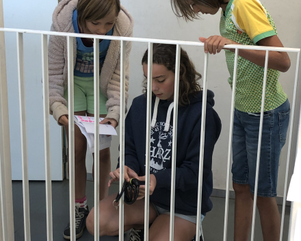 Escape Wiskunde