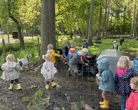 Schoolreis De Witte Hoeve