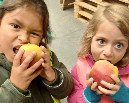 Naar de appelboer.