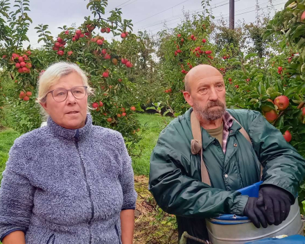 Naar de appelboer.