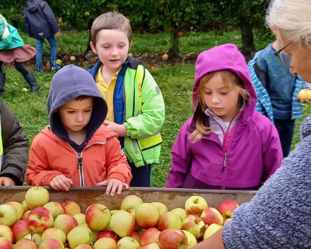 Naar de appelboer.