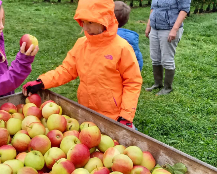 Naar de appelboer.