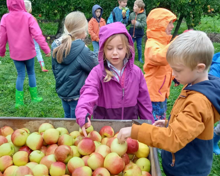 Naar de appelboer.