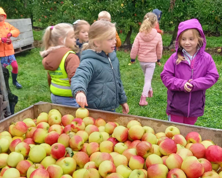 Naar de appelboer.