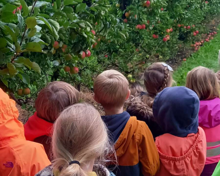 Naar de appelboer.