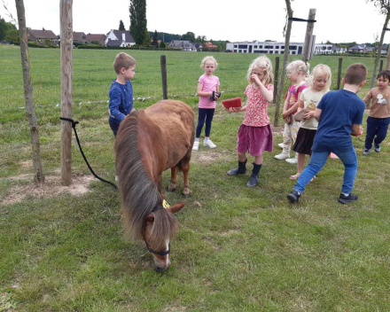 Schoolreis kleuters