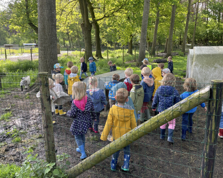 Schoolreis De Witte Hoeve