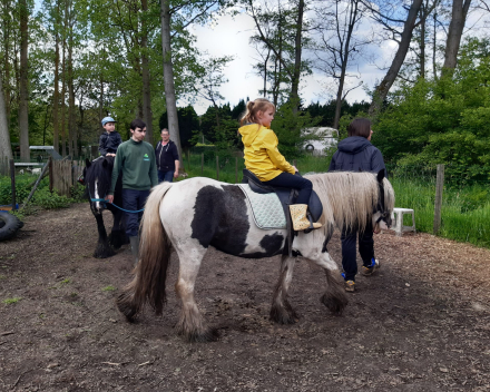 Schoolreis De Witte Hoeve