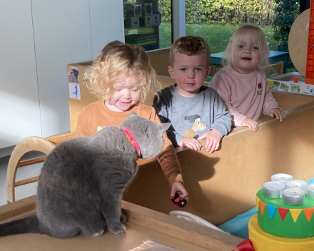 Jules houd van alle dieren!