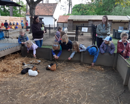 Schoolreis De Witte Hoeve