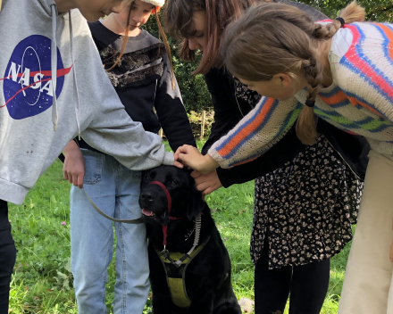 Werelddierendag