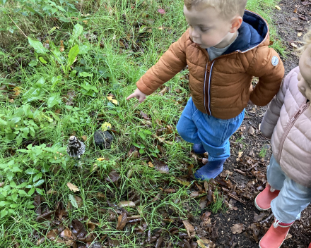 Jules in het kabouterbos