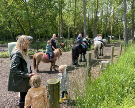 Schoolreis De Witte Hoeve