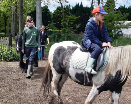 Schoolreis De Witte Hoeve