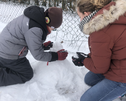 Sfeerscheppers/sneeuwscheppers 🥶