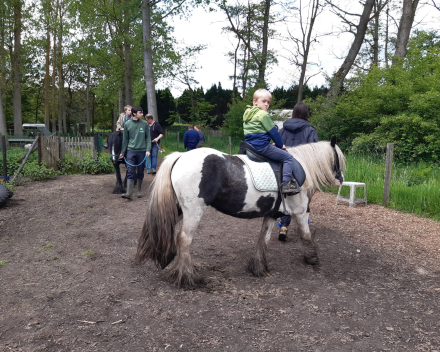 Schoolreis De Witte Hoeve