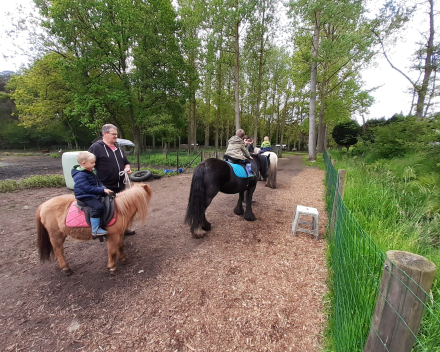 Schoolreis De Witte Hoeve