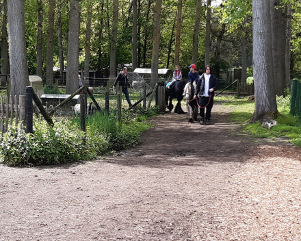 Schoolreis De Witte Hoeve