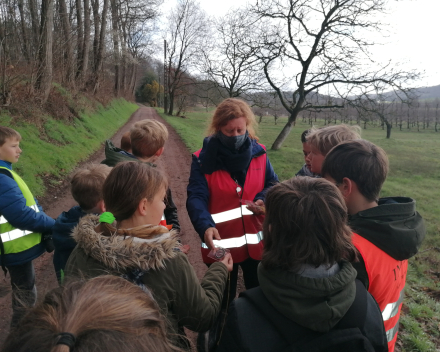 Leeruitstap reliëf : de wijngaardberg  (maandag 15 maart)