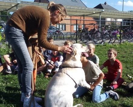 Wereld Dierendag - spreekbeurten