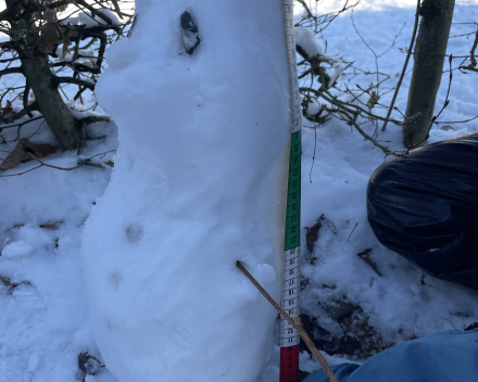 Sneeuwpret