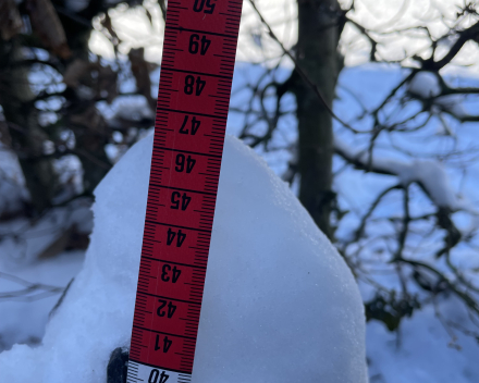 Sneeuwpret