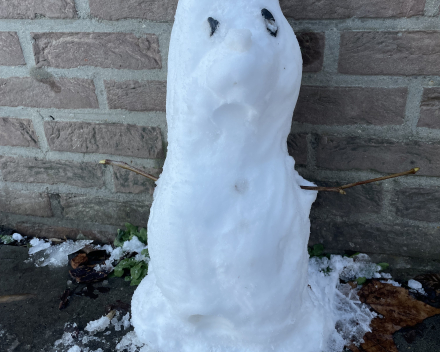 Sneeuwpret