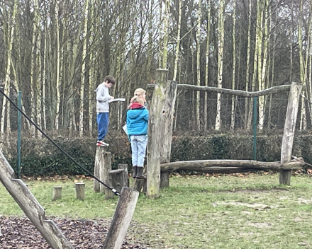 Vogels