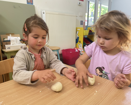 Stenen en Krokodillen