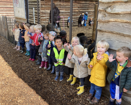 Jules op de boerderij